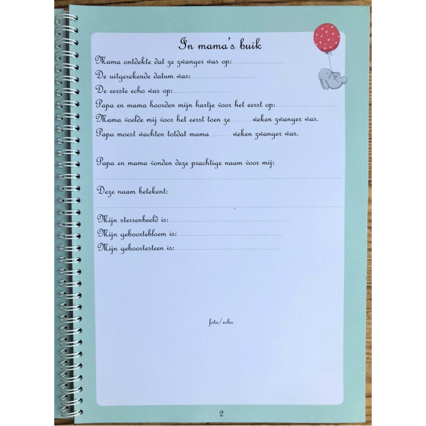Het grote kleine babyboek; Afbeelding: 6