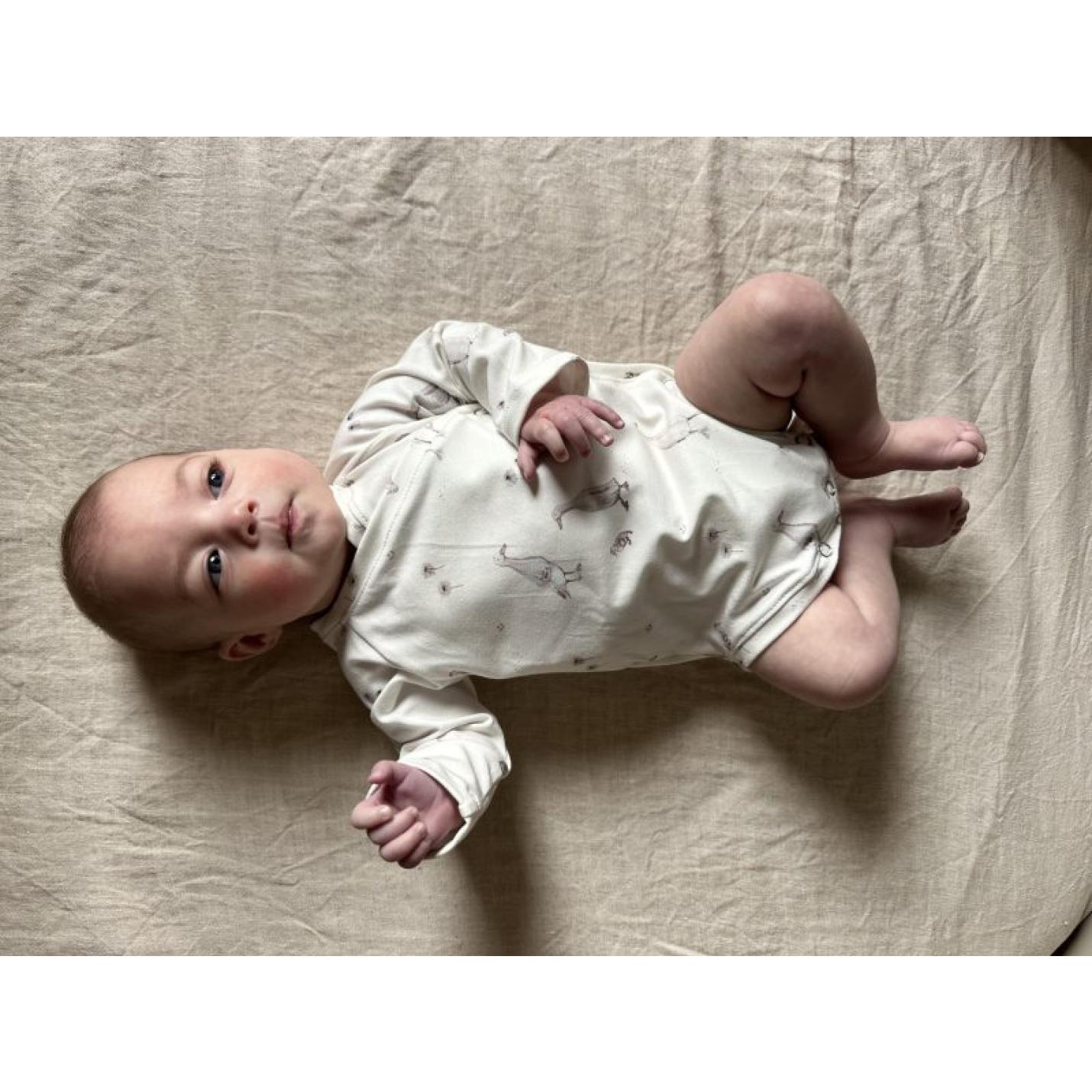 Baby en Prematuur rompertje met ganzen