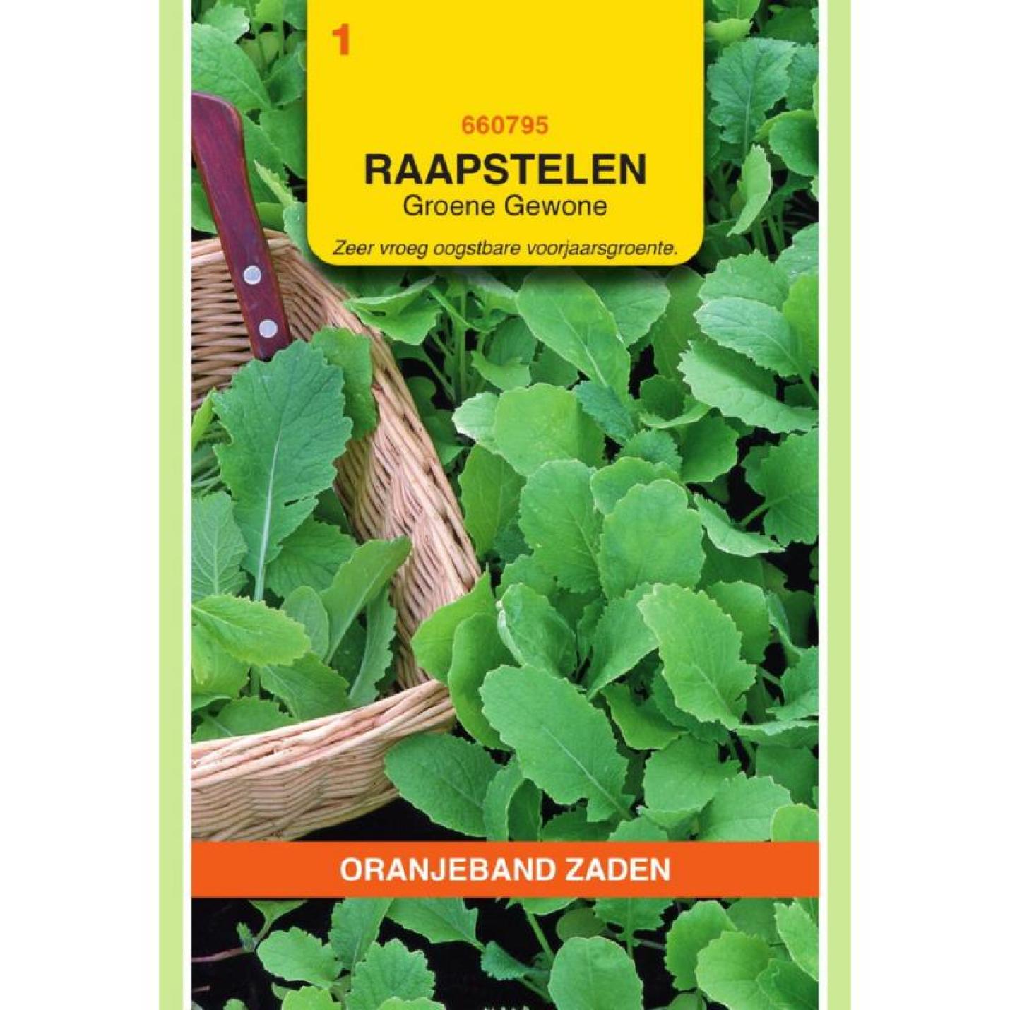 Oranjeband Raapstelen Groene Gewone