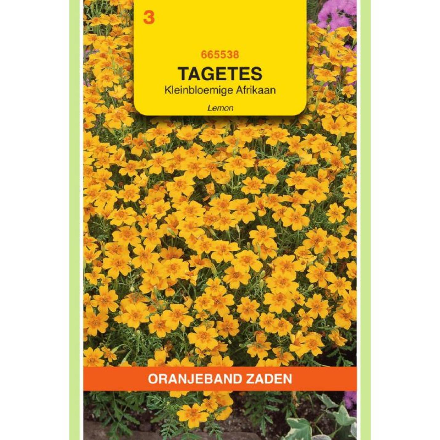 Oranjeband Tagetes, Afrikaan Lemon kleinbloemig, geel