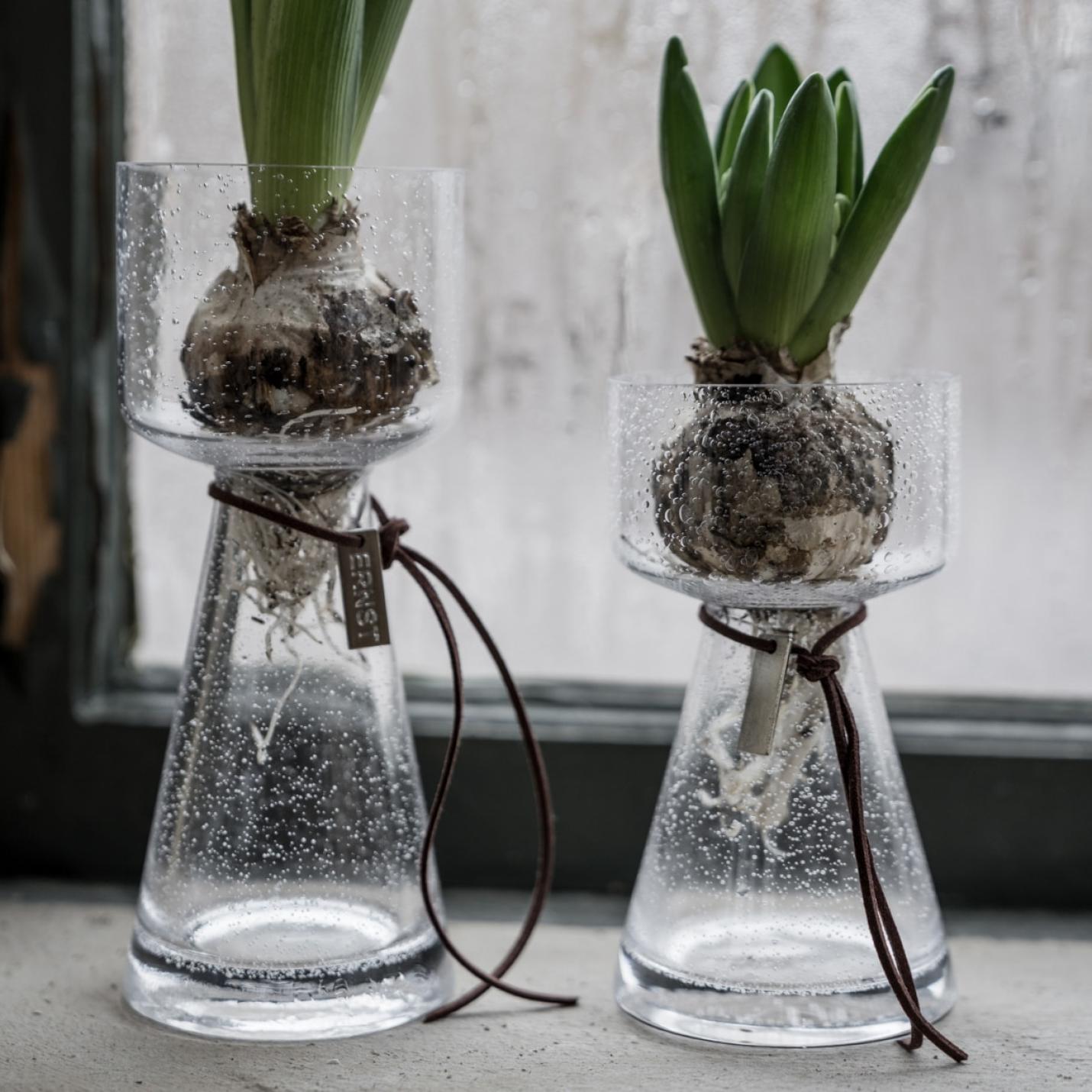 ERNST bollenvaas glas bubbles 15; Afbeelding: 2