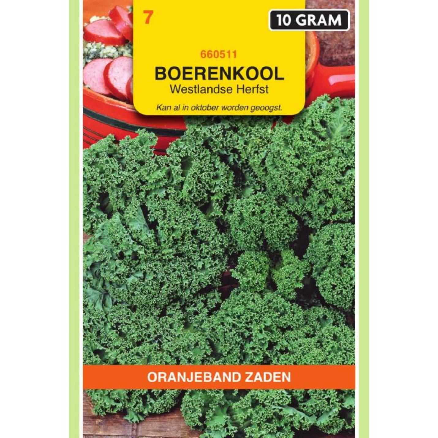 Oranjeband Boerenkool Westlandse Herfst 10 gram