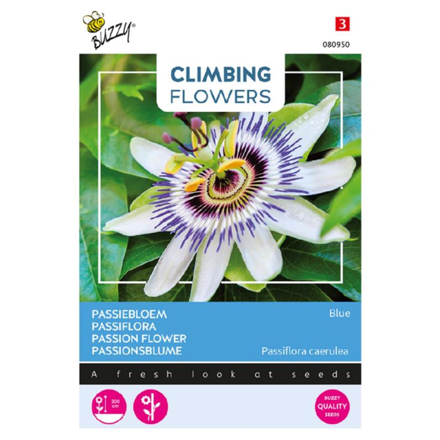 Buzzy Climbing Flowers Passiebloem Blauw