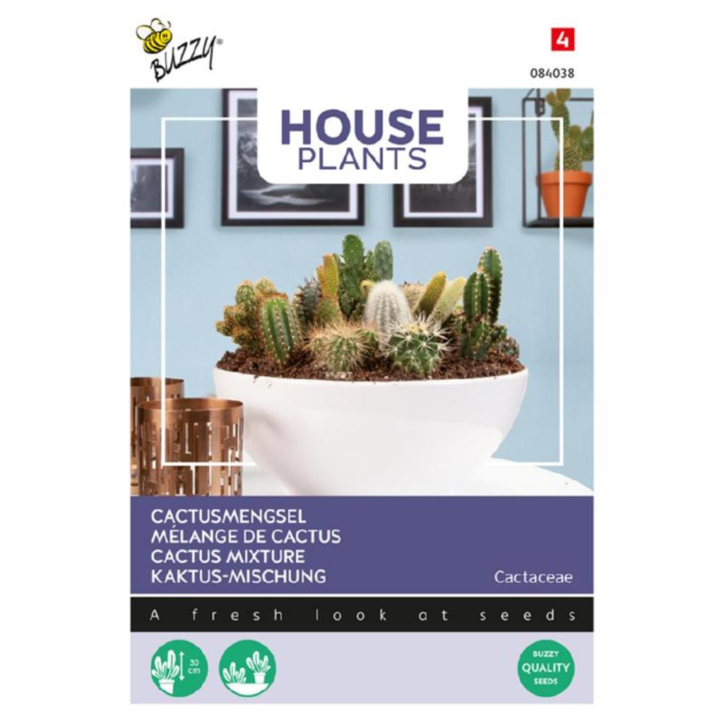 Buzzy House Plants Cactus mengsel