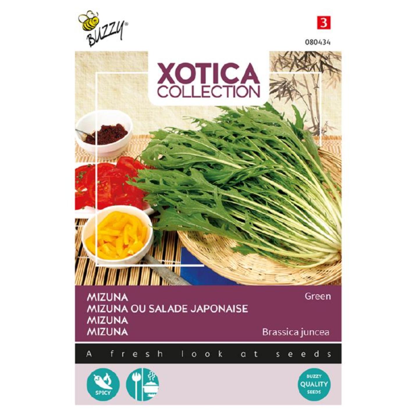 Buzzy Xotica Mizuna Japanse salade