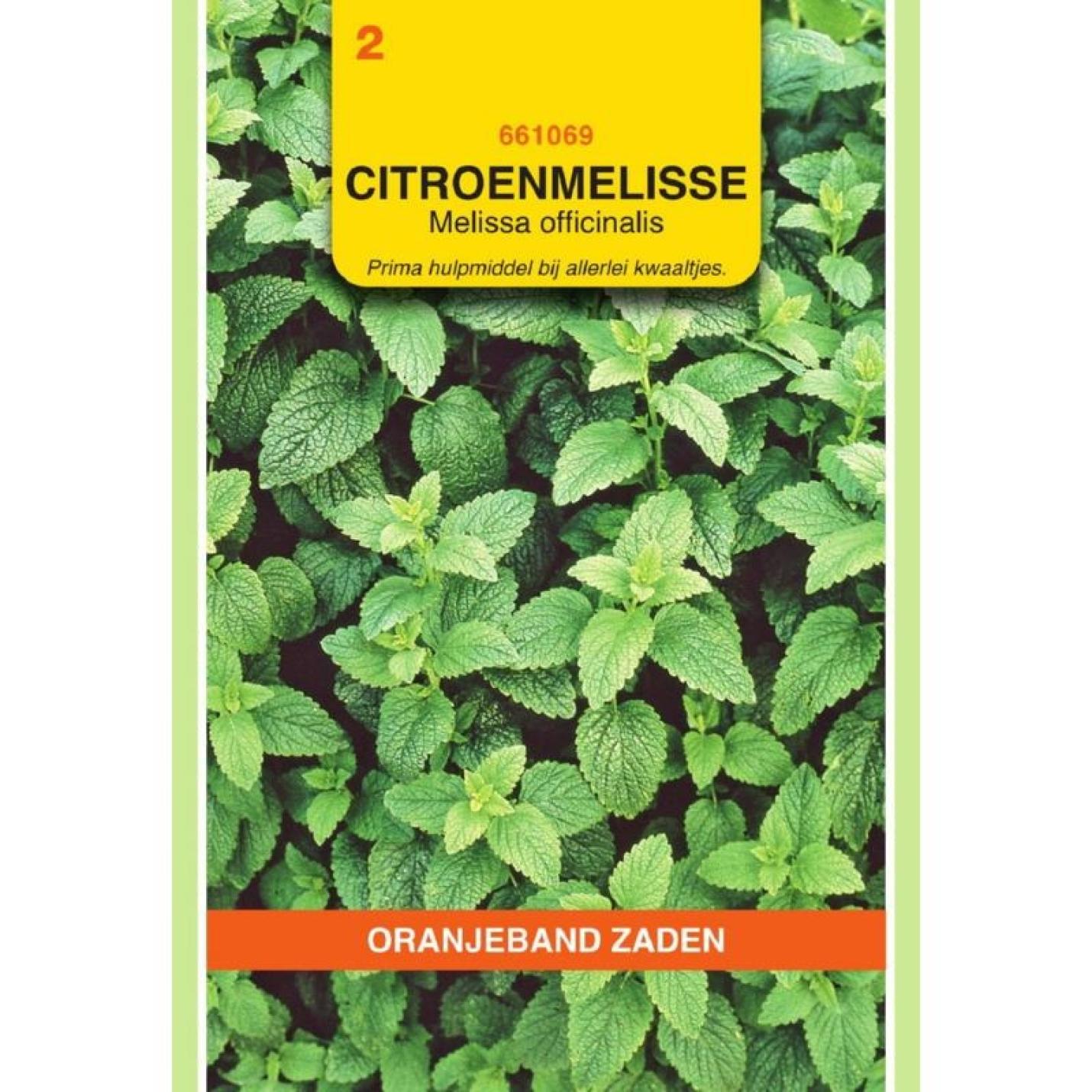 Oranjeband Citroenmelisse