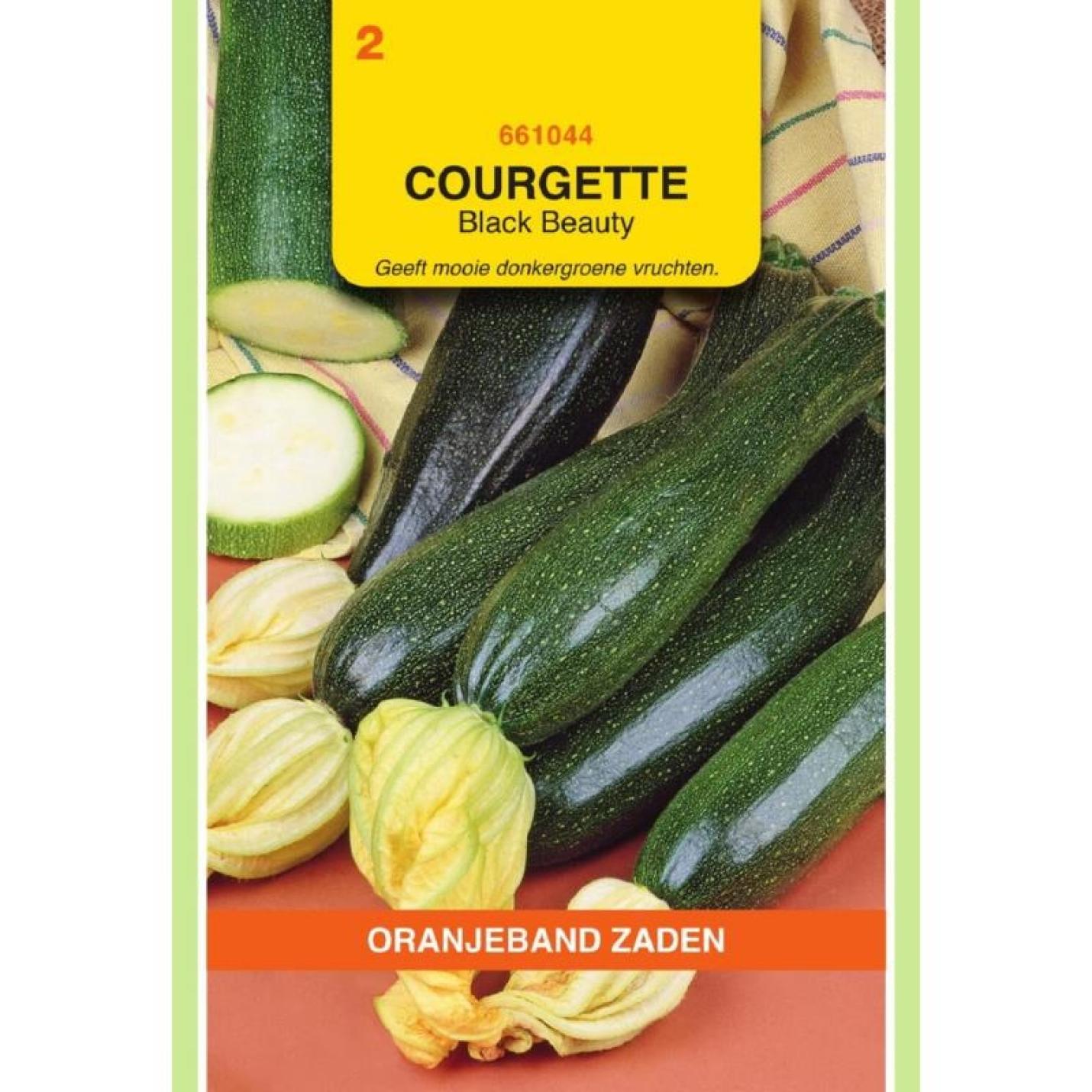 Oranjeband Courgette Black Beauty