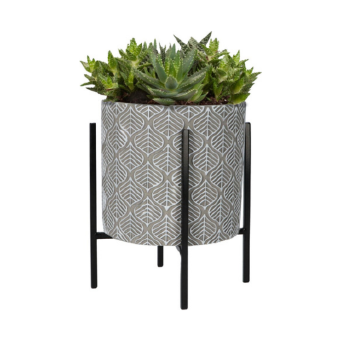 Buzzy® House Plants Plantpot in standaard met Aloe Vera zaden