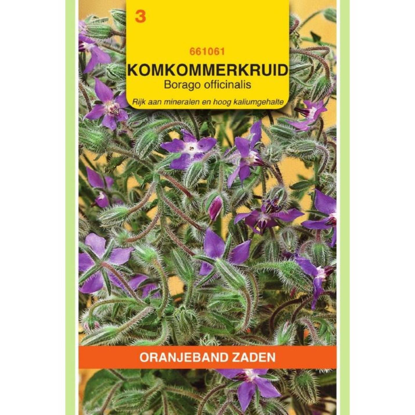 Oranjeband Komkommerkruid Borage officinalis