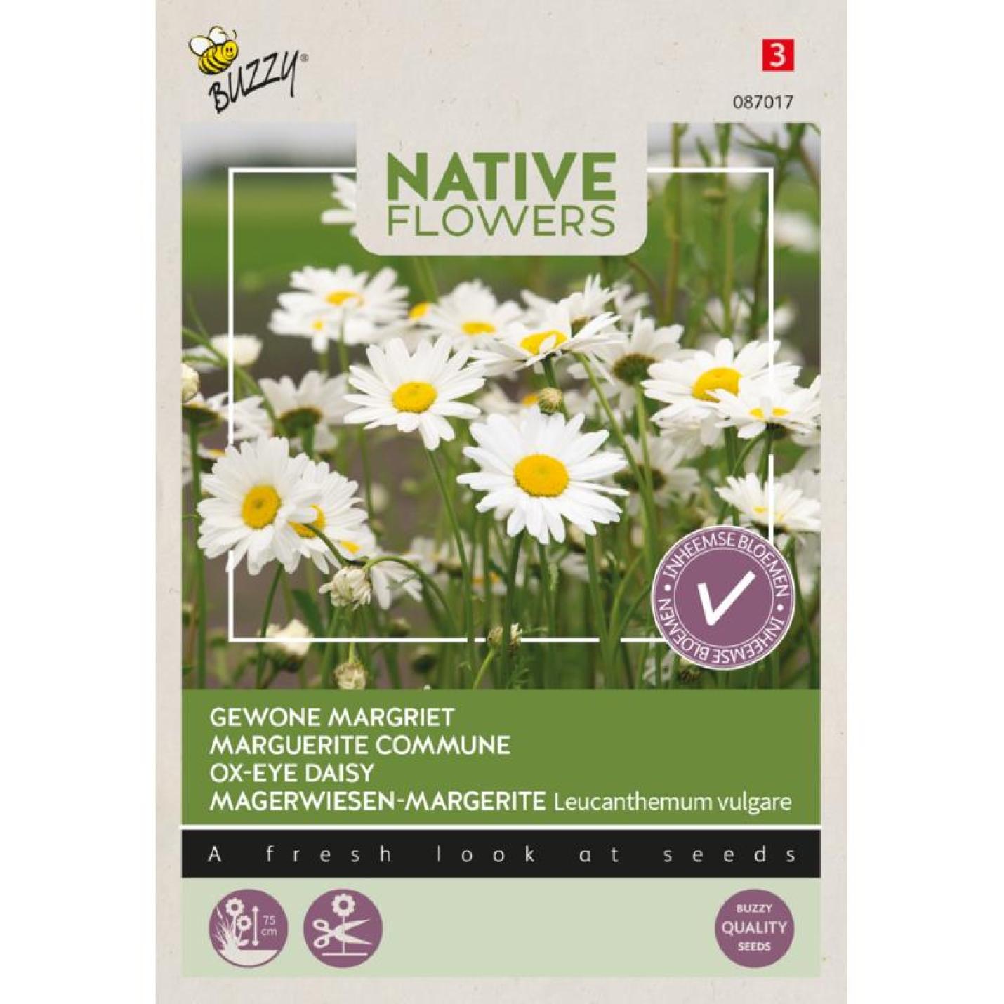 Buzzy® Native Flowers, Gewone Margriet