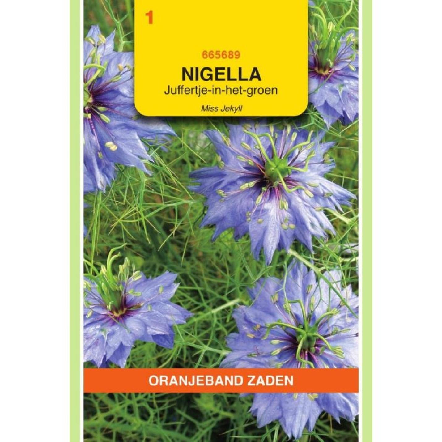 Oranjeband Nigella, Juffertje-in-het-groen Miss Jekyll