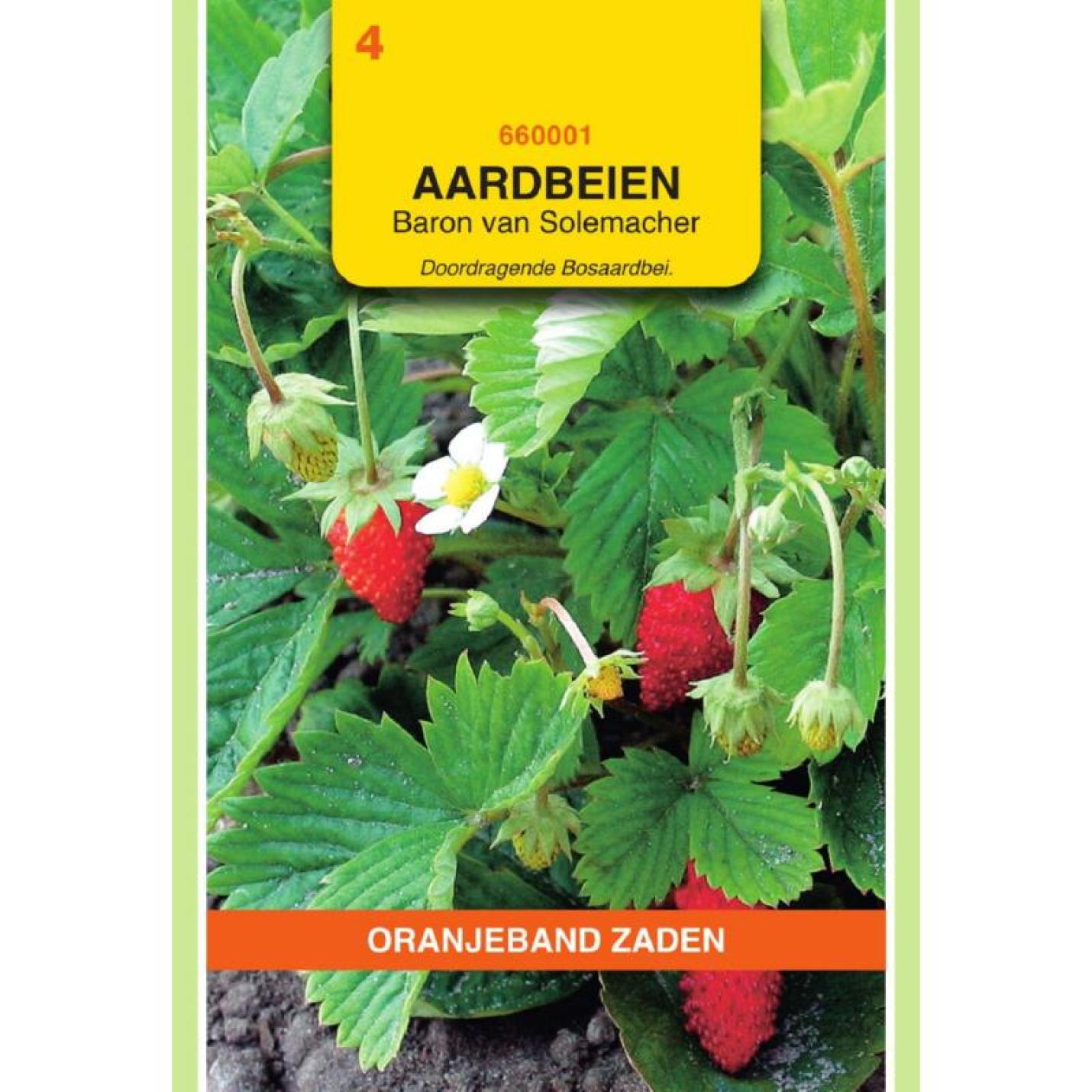 Oranjeband Aardbeien Baron von Solemacher