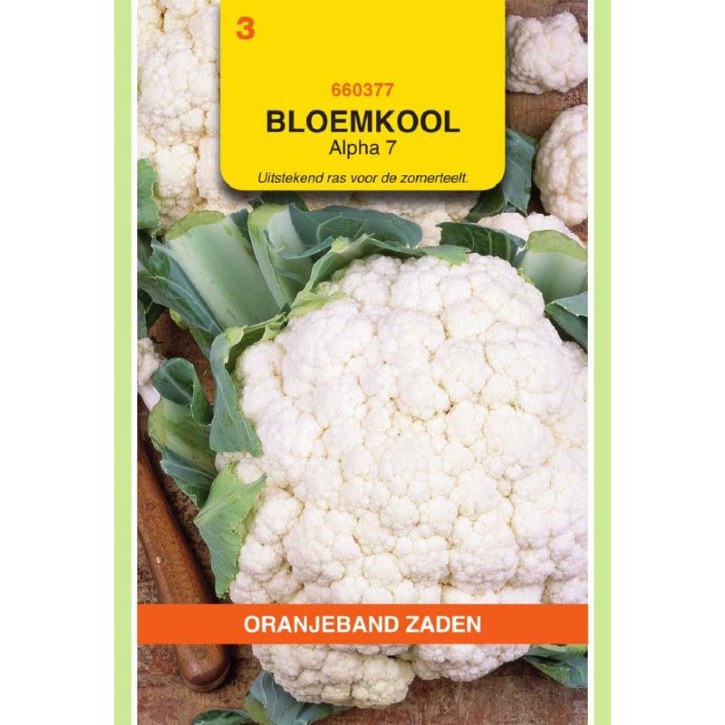 Oranjeband Bloemkool Alpha 7