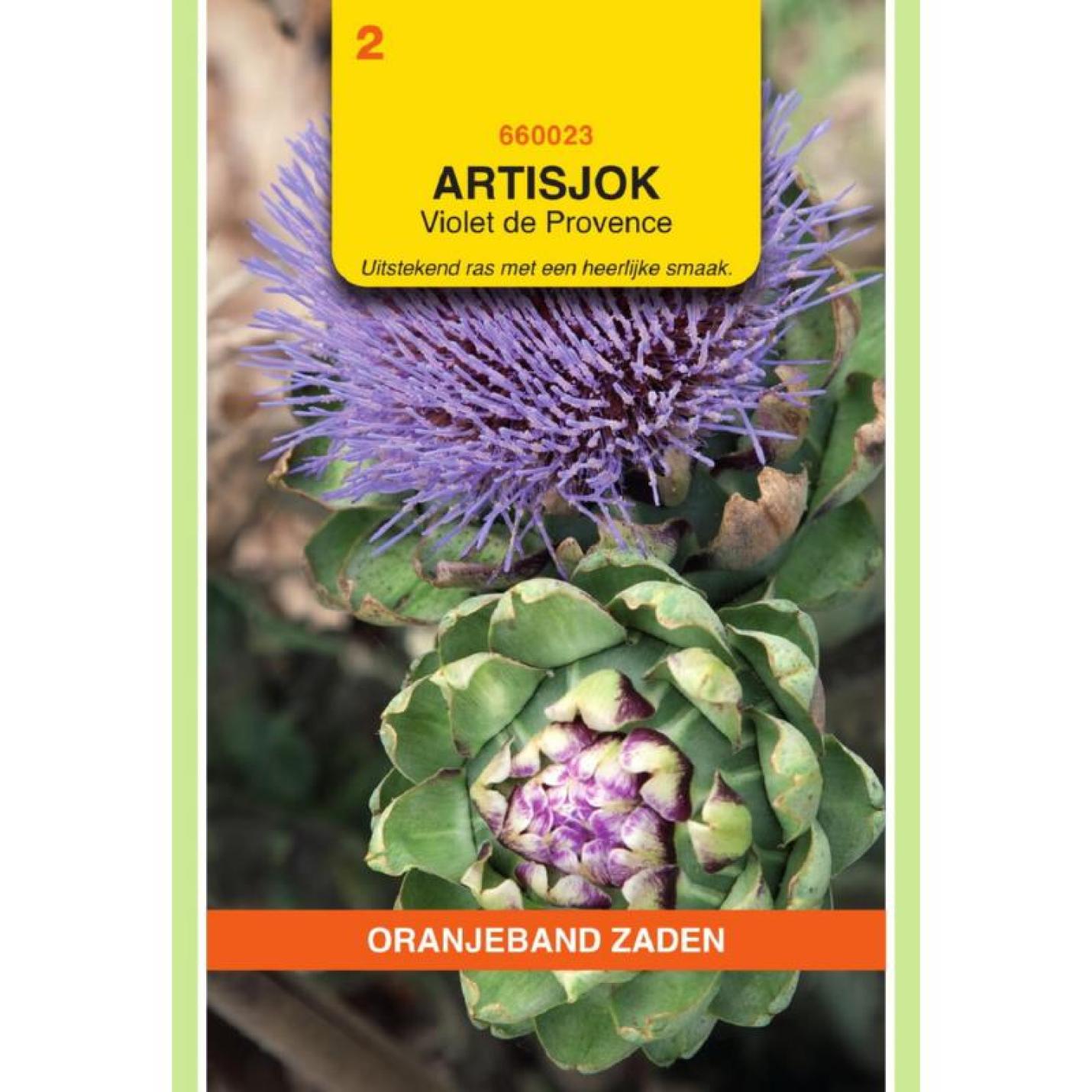 Oranjeband Artisjokken Violet de Provence