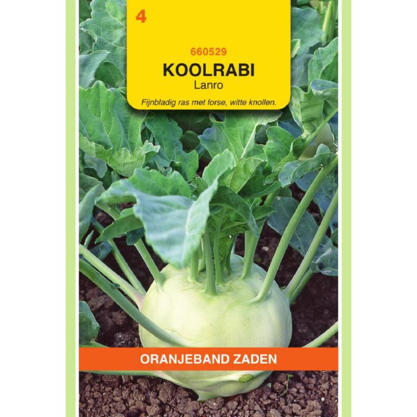 Oranjeband Koolrabi Lanro
