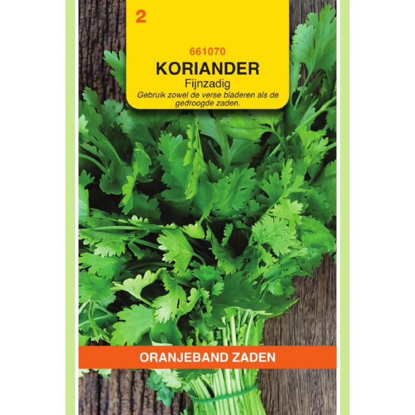 Oranjeband Koriander