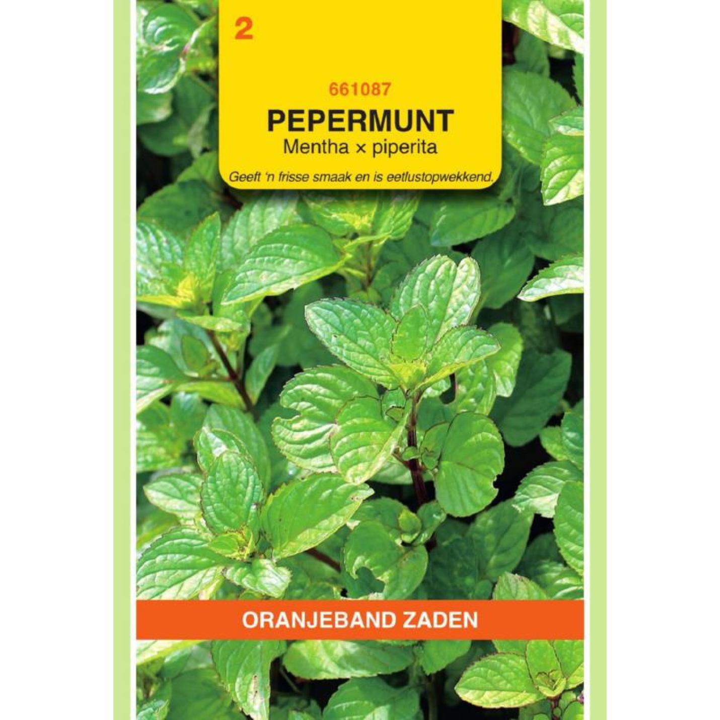 Oranjeband Pepermunt