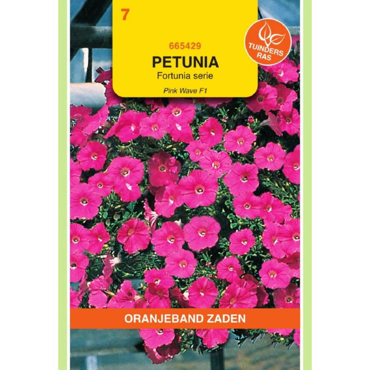 Oranjeband Petunia Pink Wave F1 Fortunia serie
