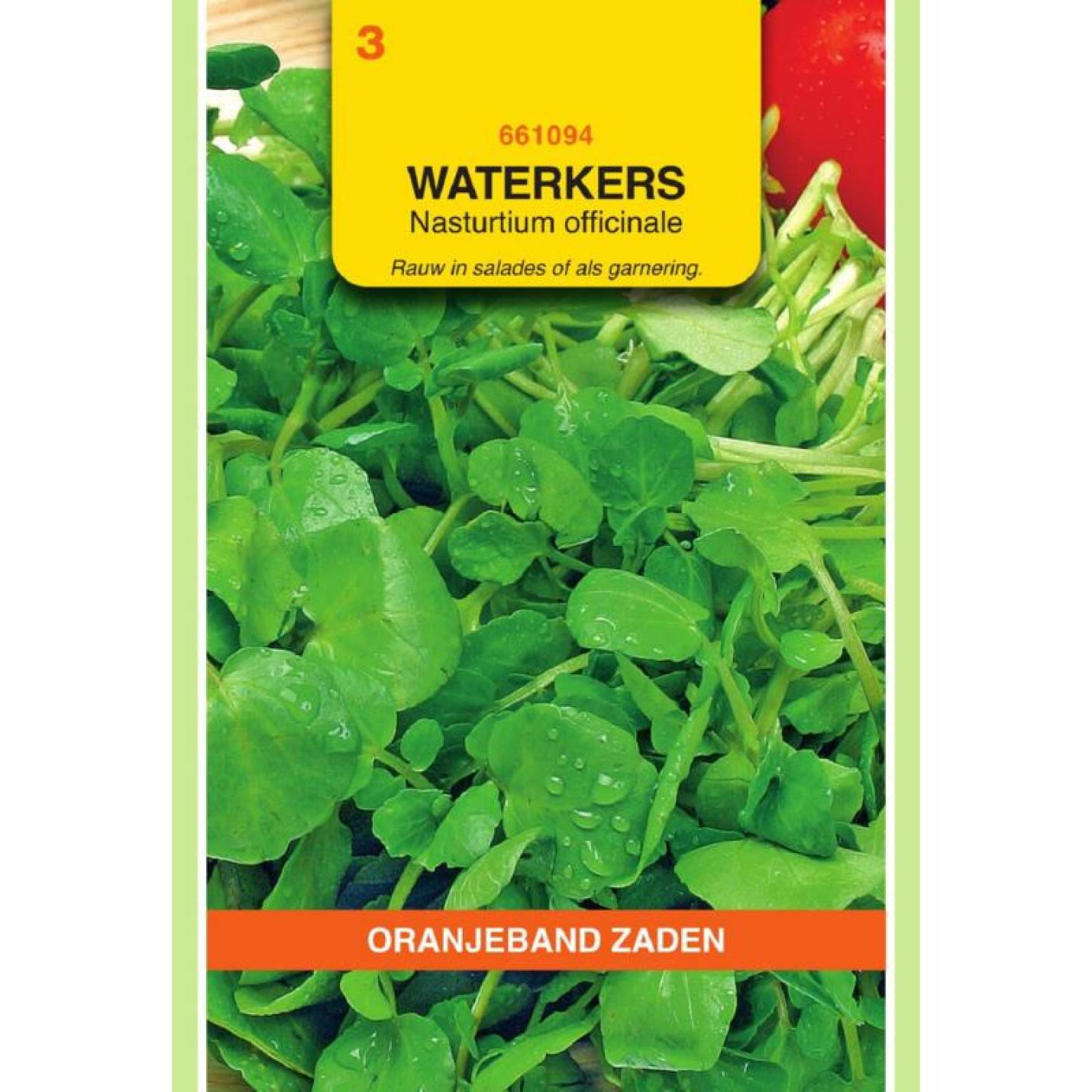 Oranjeband Waterkers Groodbladige