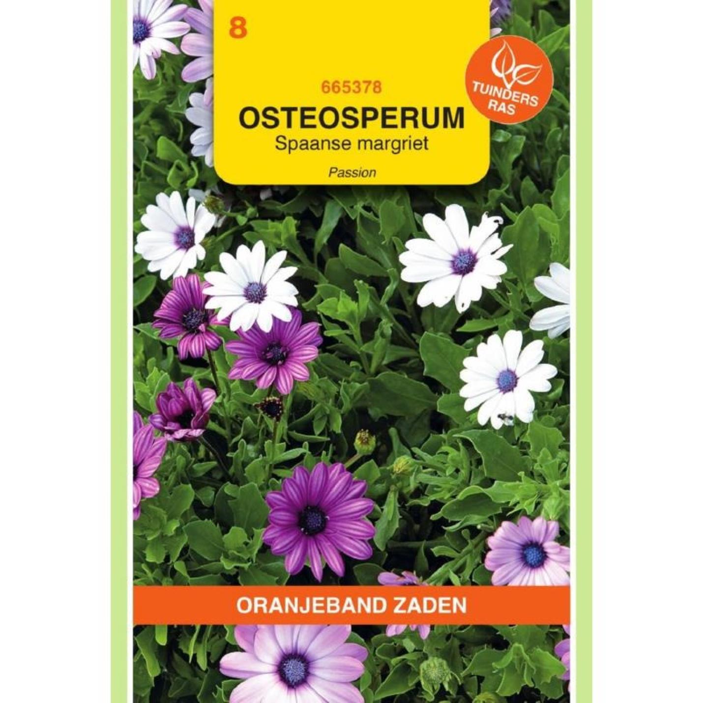 Oranjeband Osteospermum, Spaanse Margriet Passion gemengd