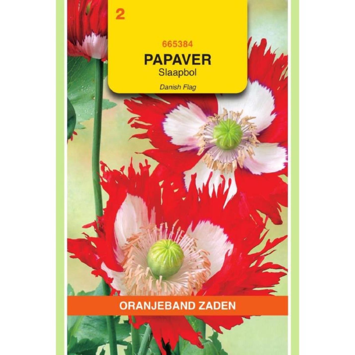 Oranjeband Papaver, Slaapbol Danish Flag