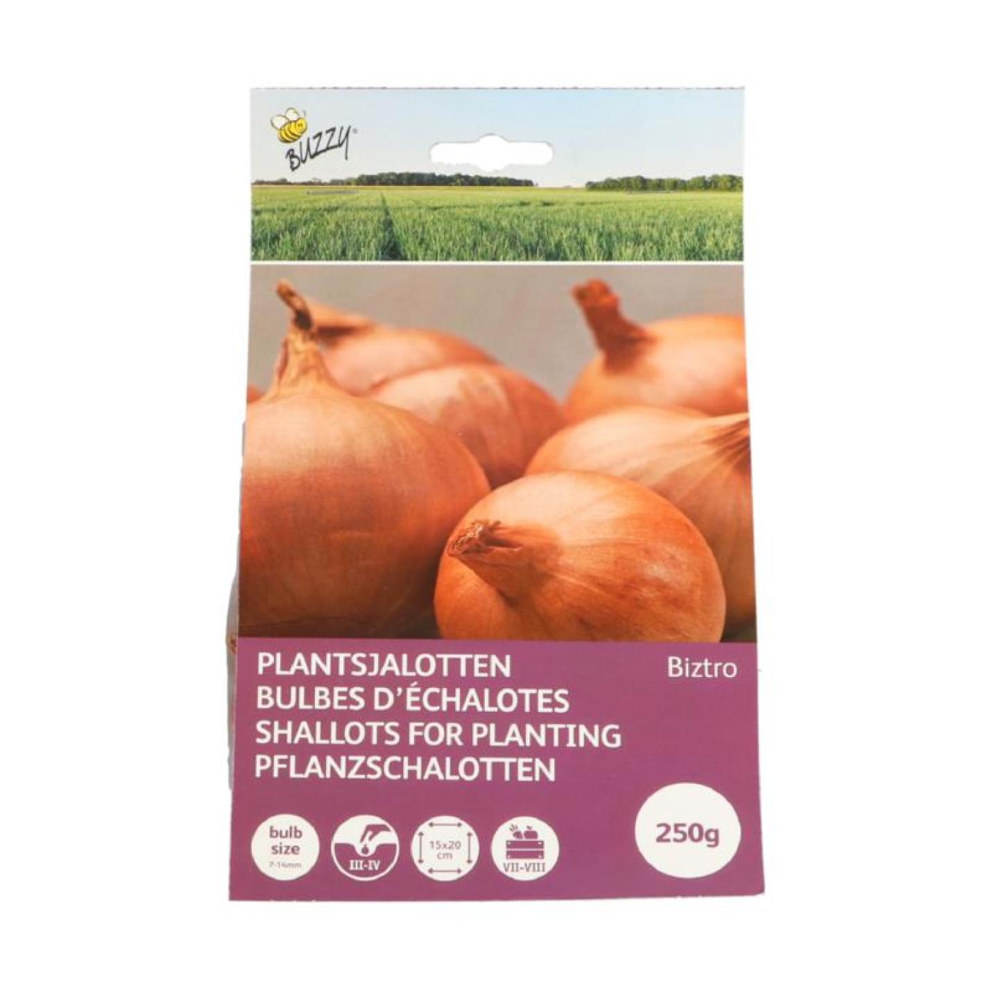 Plantsjalotten Biztro met capper 250g