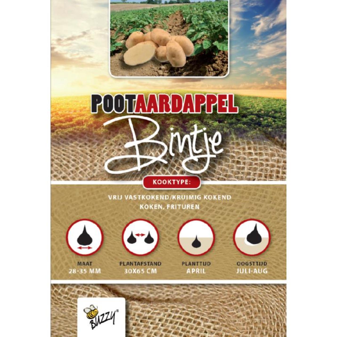 Pootaardappel Bintje 1 Kg