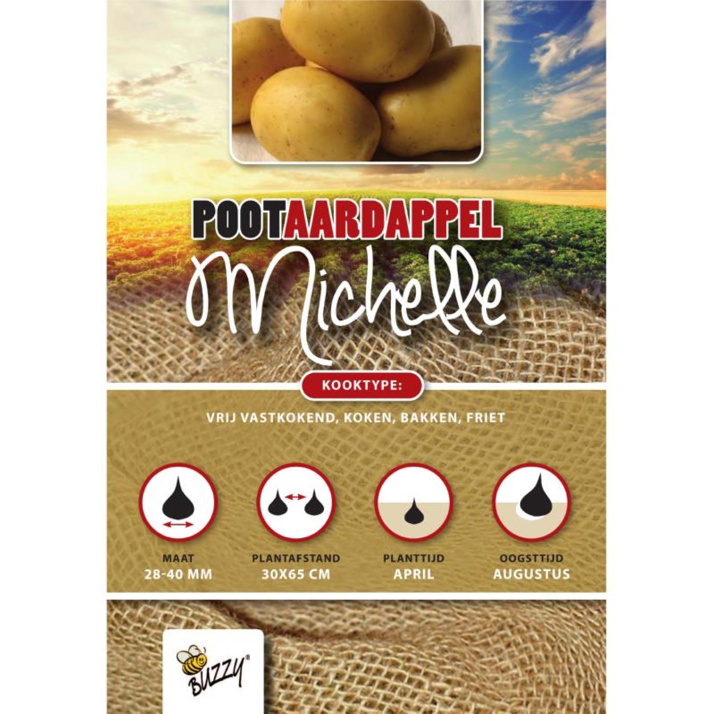 Pootaardappel Michelle 1 Kg
