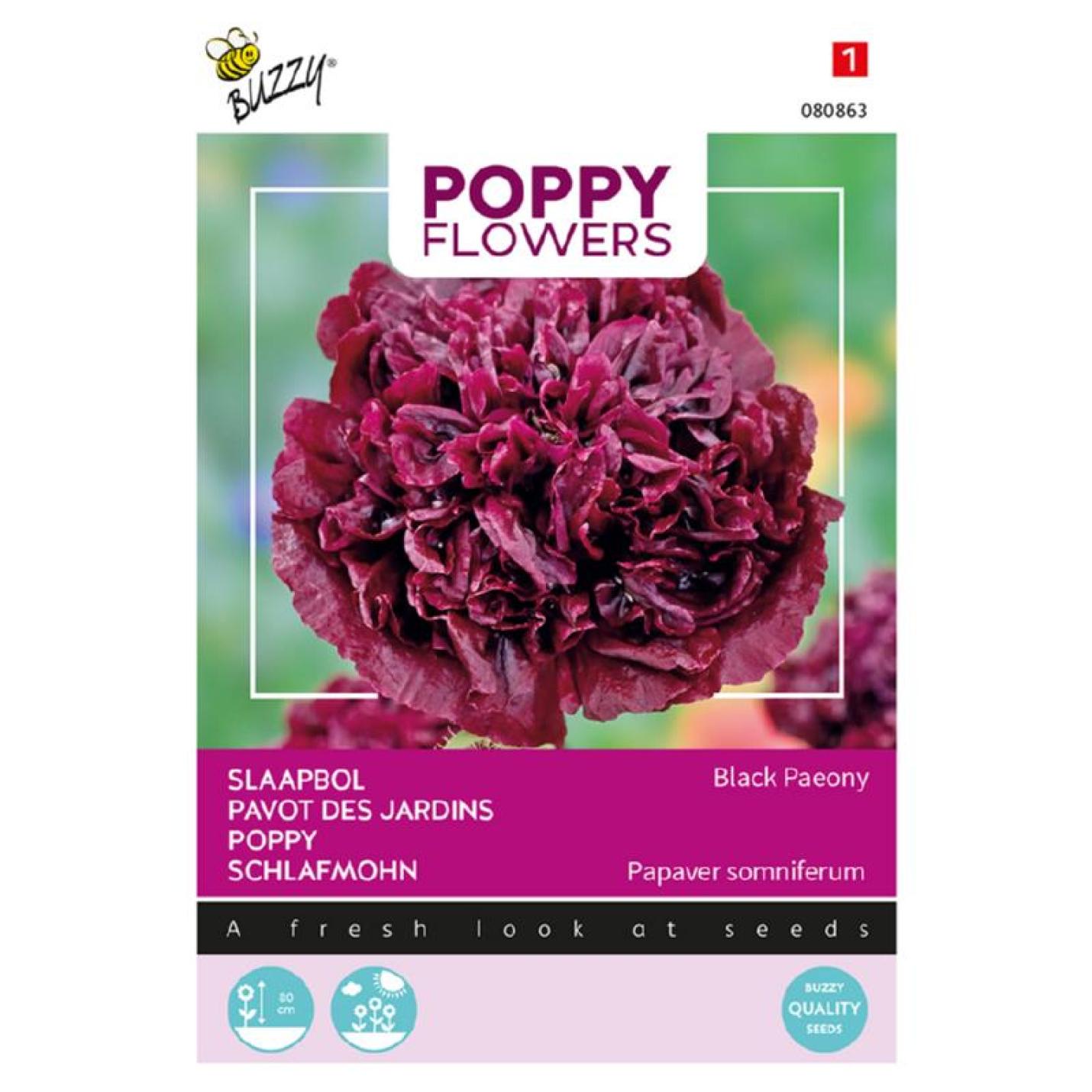 Buzzy® Poppy Flowers Papaver Black Paeony