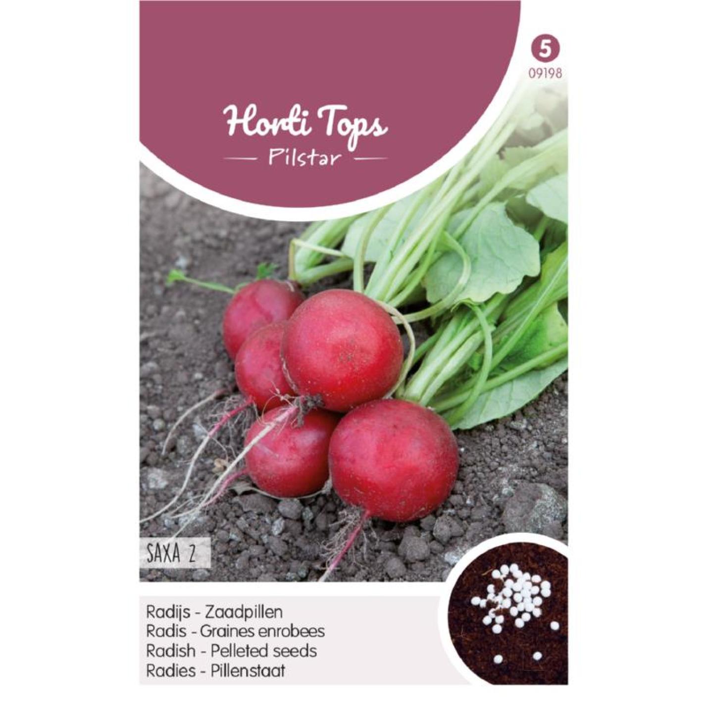 Horti Tops Pilstar Radijs Saxa 2 