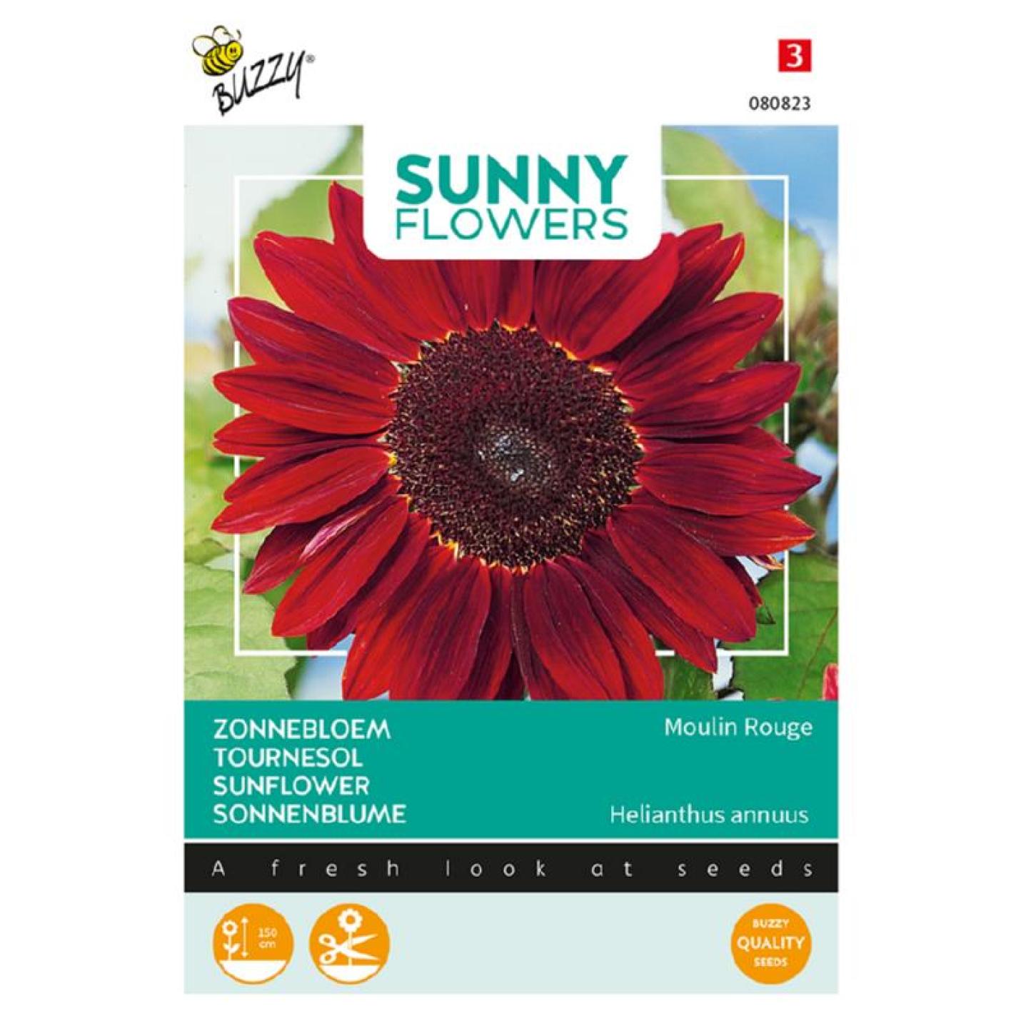 Buzzy® Sunny Flowers, Zonnebloem Moulin Rouge