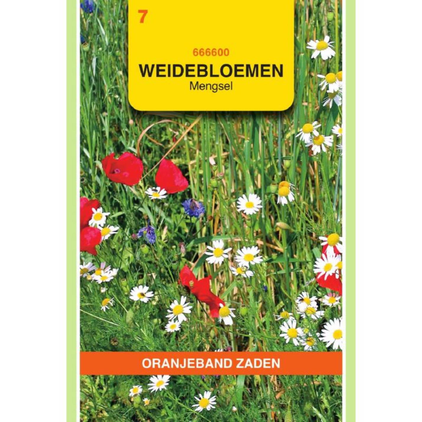 Oranjeband Weidebloemen mengsel - 5 m²