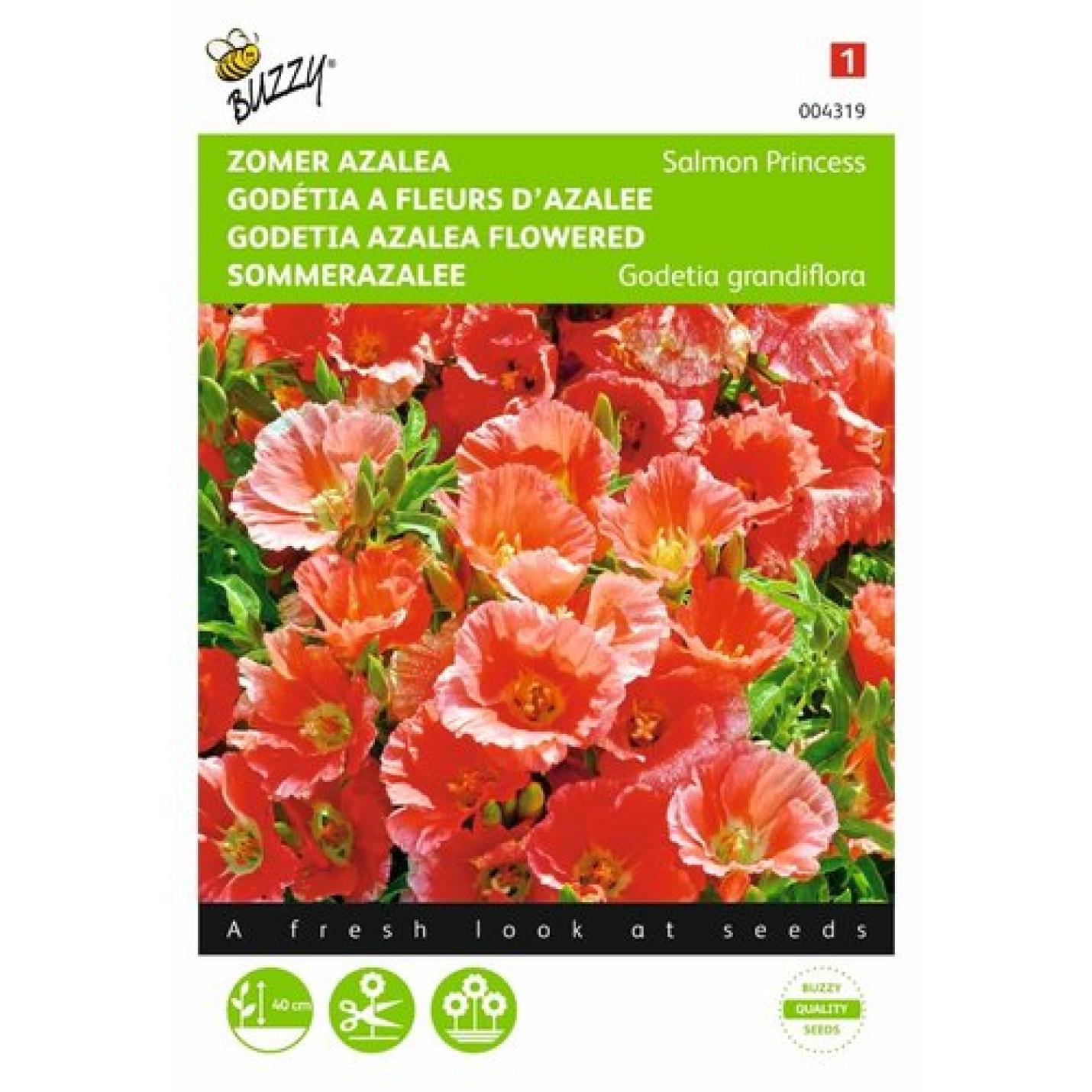 Buzzy® Godetia, Zomer Azalea Salmon Princess