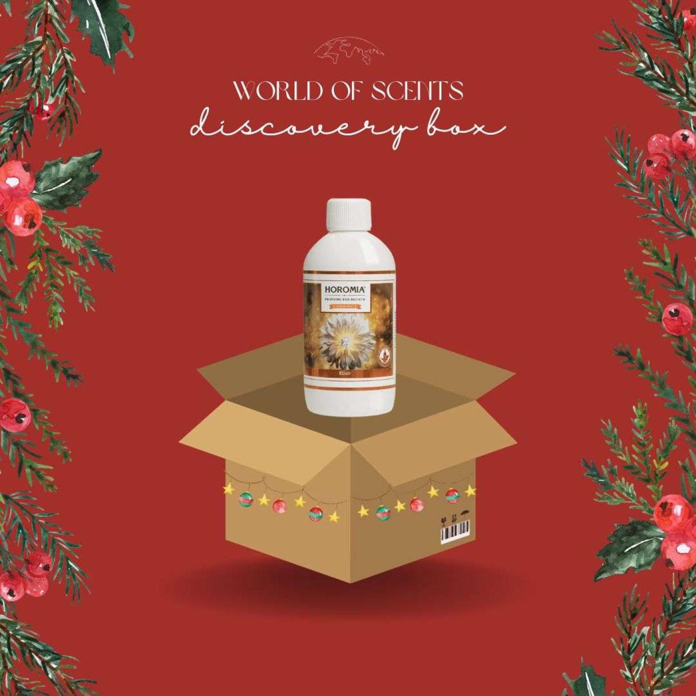 Discovery box small (winter editie); Afbeelding: 4