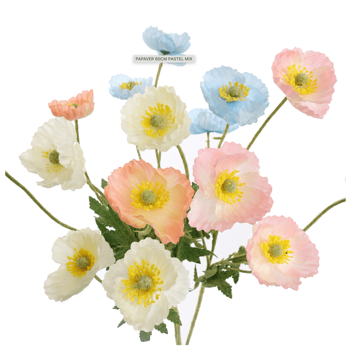 Boeketje papaver mix in pastel; Afbeelding: 2
