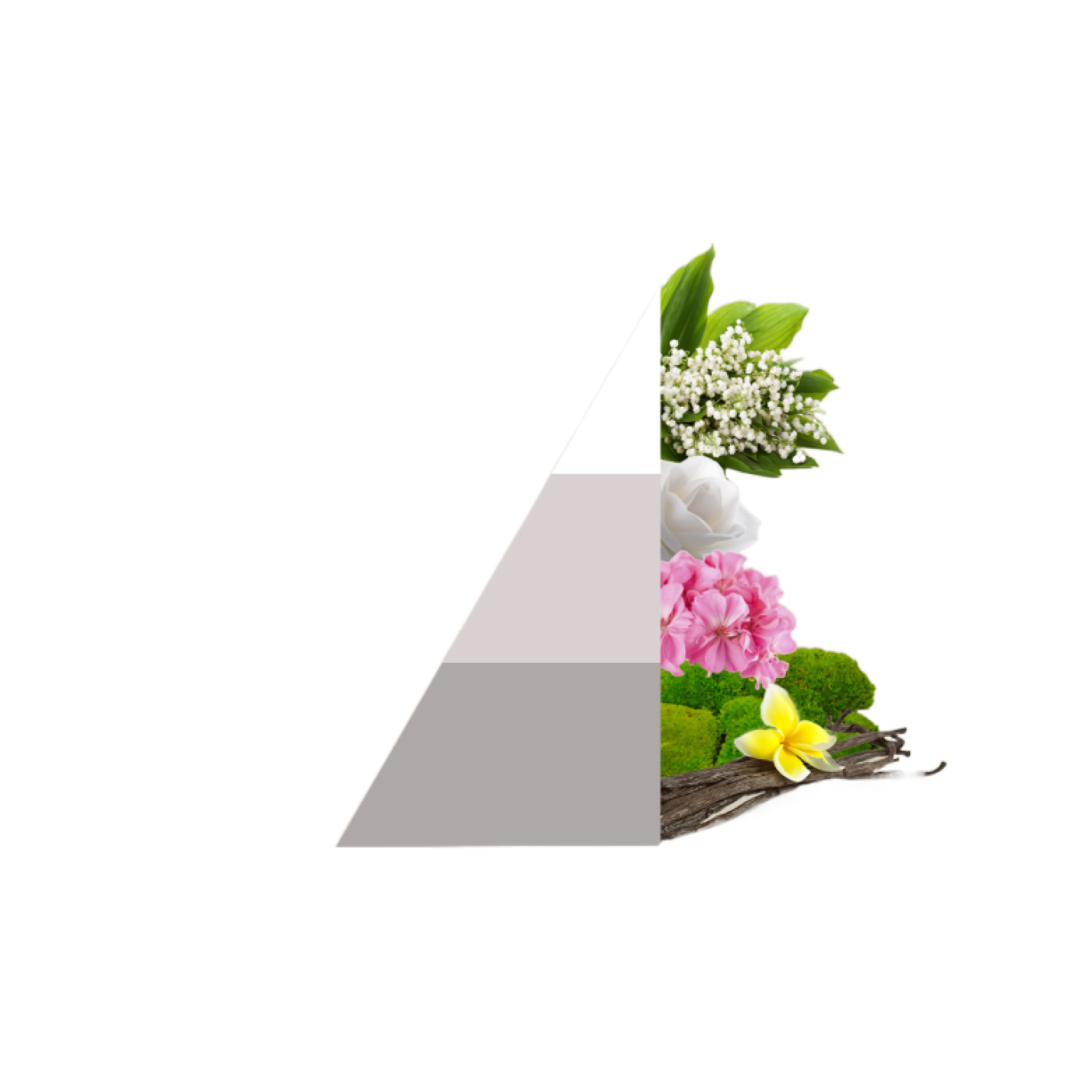 Geurzakjes White; Afbeelding: 2