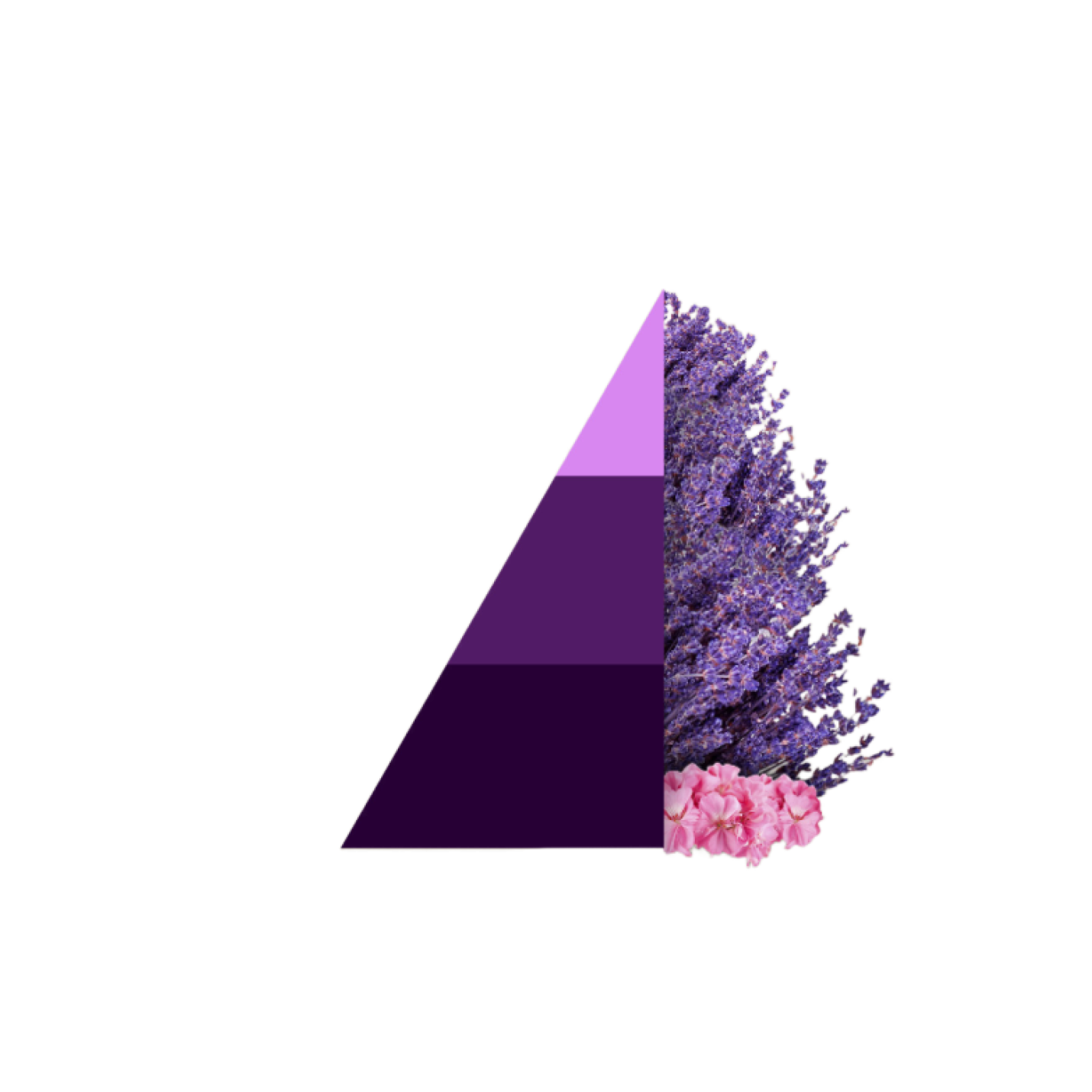 Geurzakjes Aromatic lavender; Afbeelding: 2
