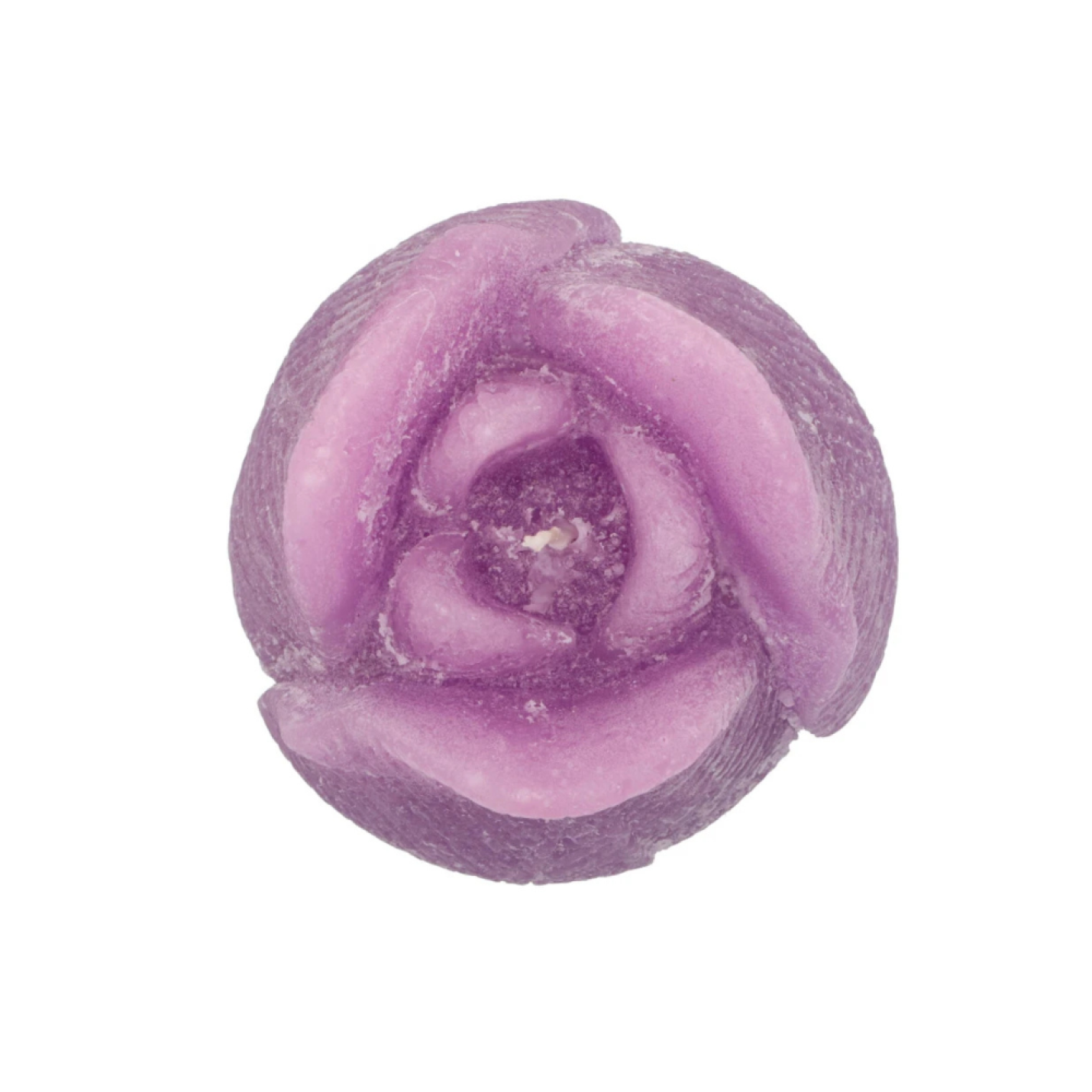 Tulpenkaars -Paars; Afbeelding: 2