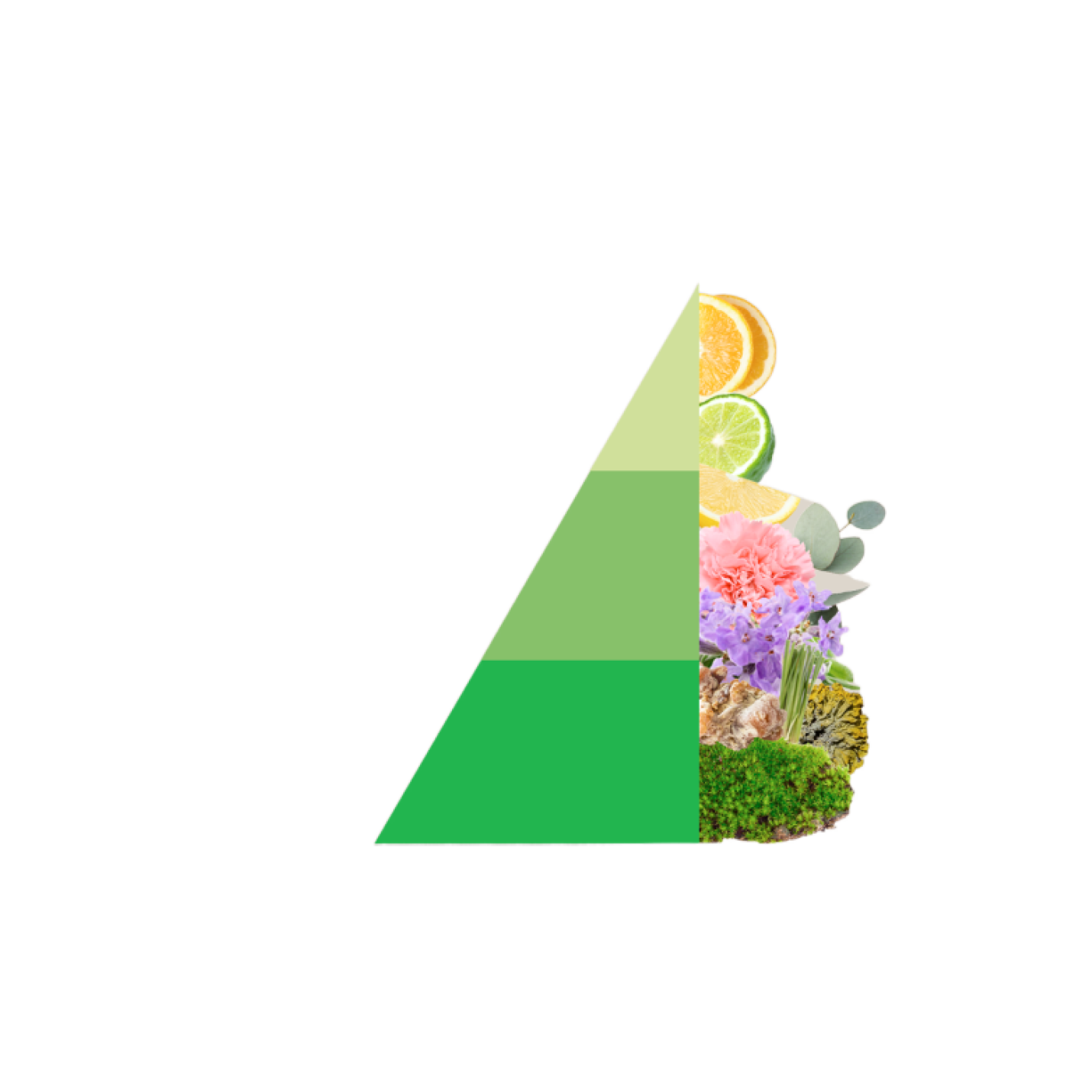 Horomia roomspray Bifase Odour off; Afbeelding: 3