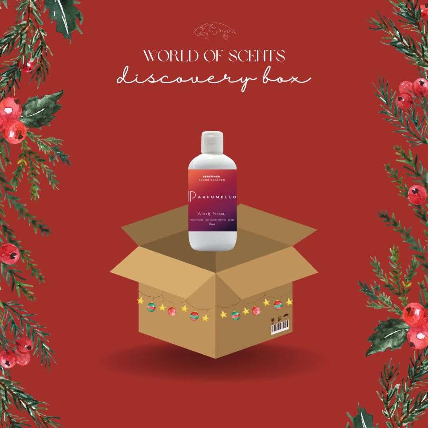 Discovery box small (winter editie); Afbeelding: 7