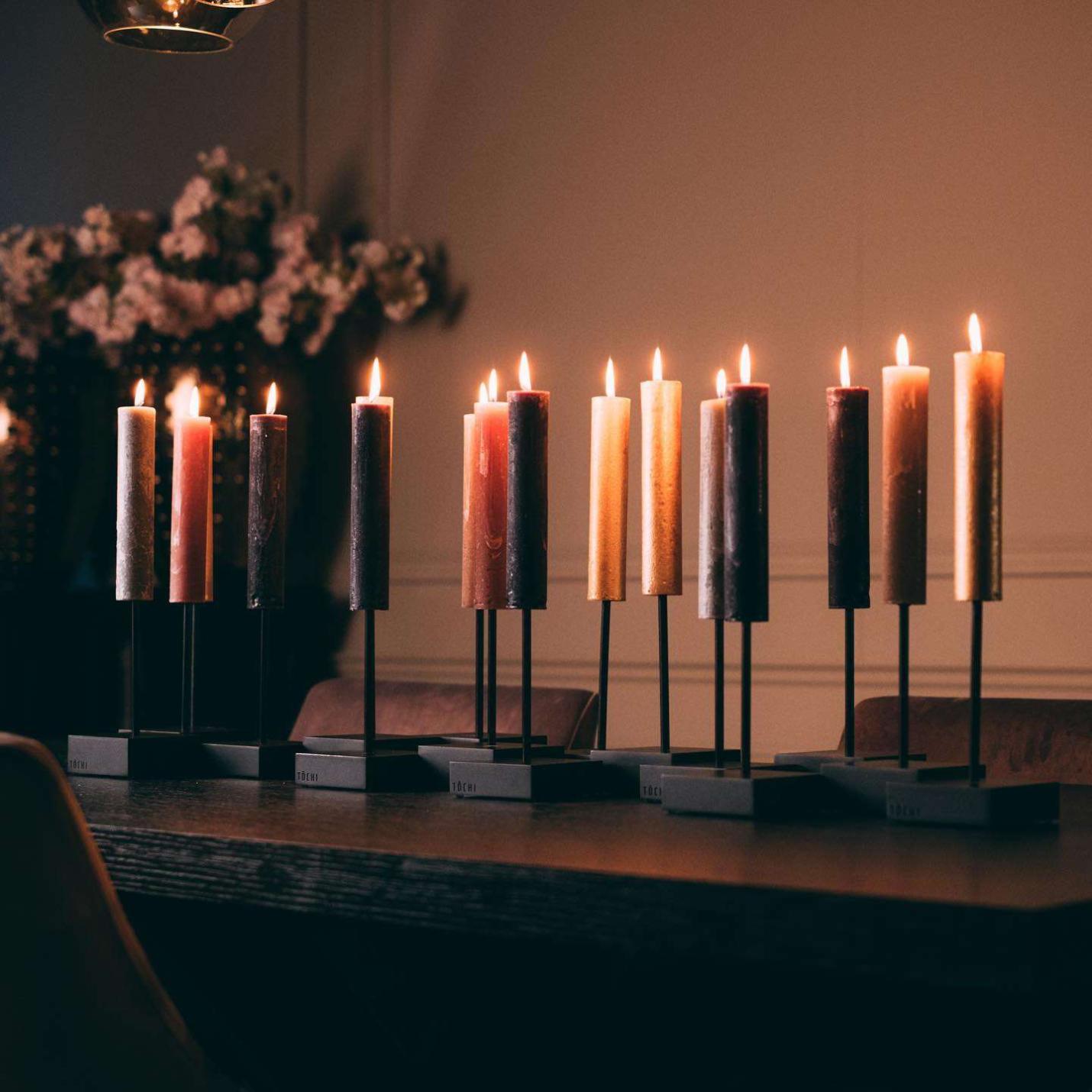 Robin; Afbeelding: 2