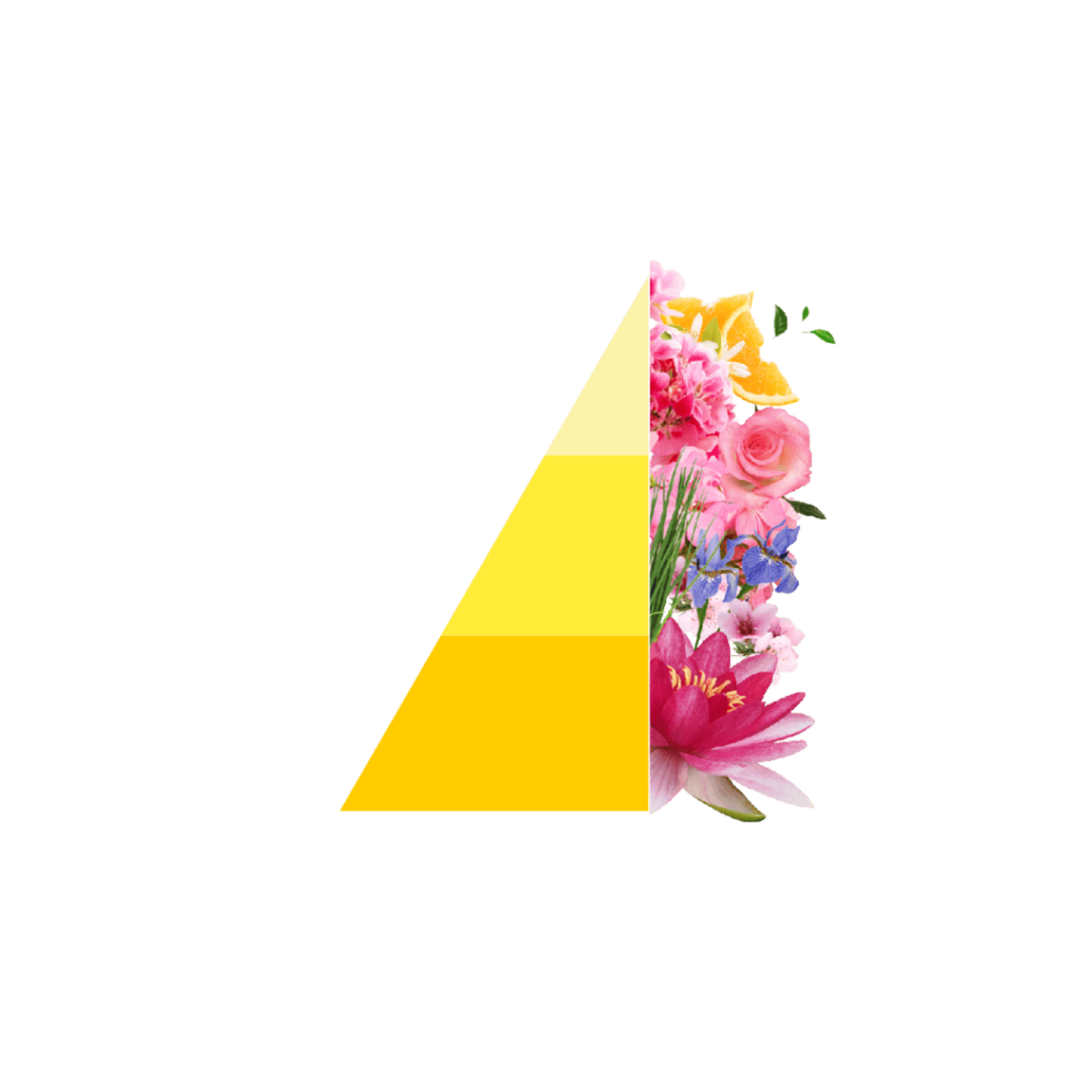 Horomia wasparfum citronella e geranio Geurschema