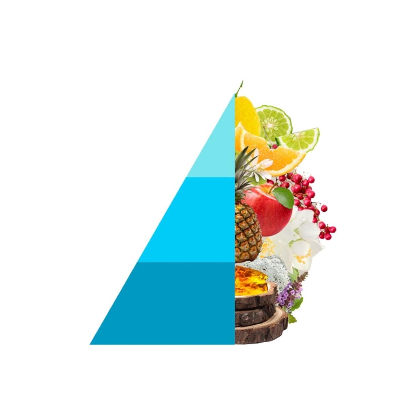 Horomia wasparfum spring summer Aqua marina