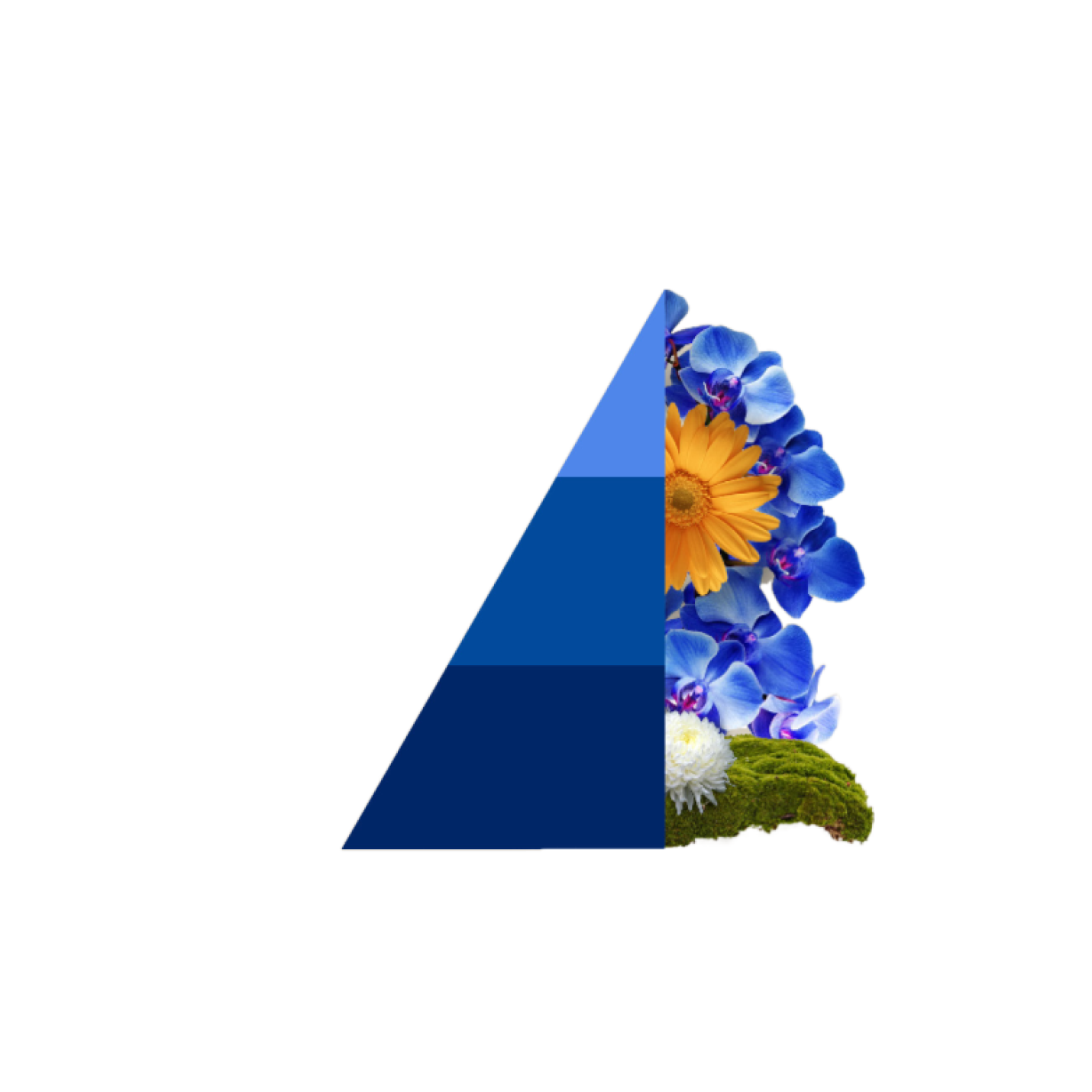 Geurzakjes Blue fior di loto; Afbeelding: 2