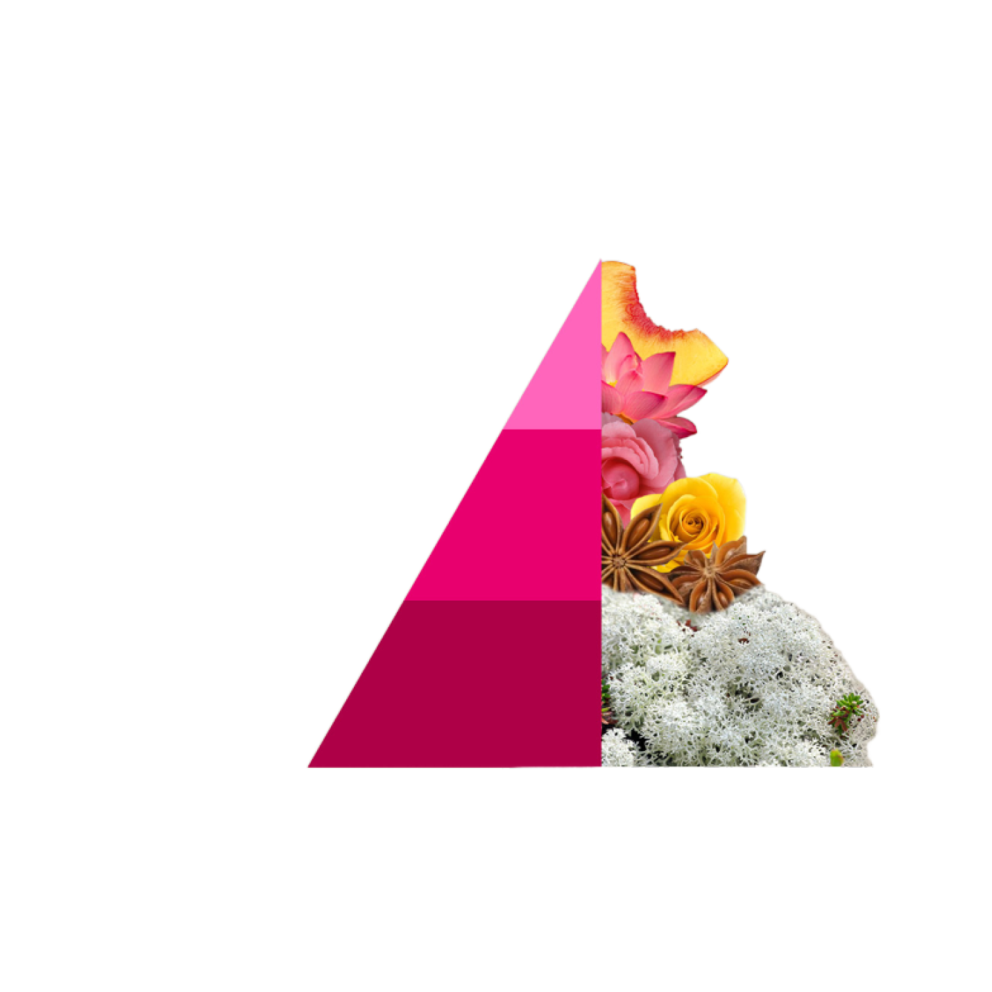 Horomia roomspray Bifase Muschi e Loto; Afbeelding: 2