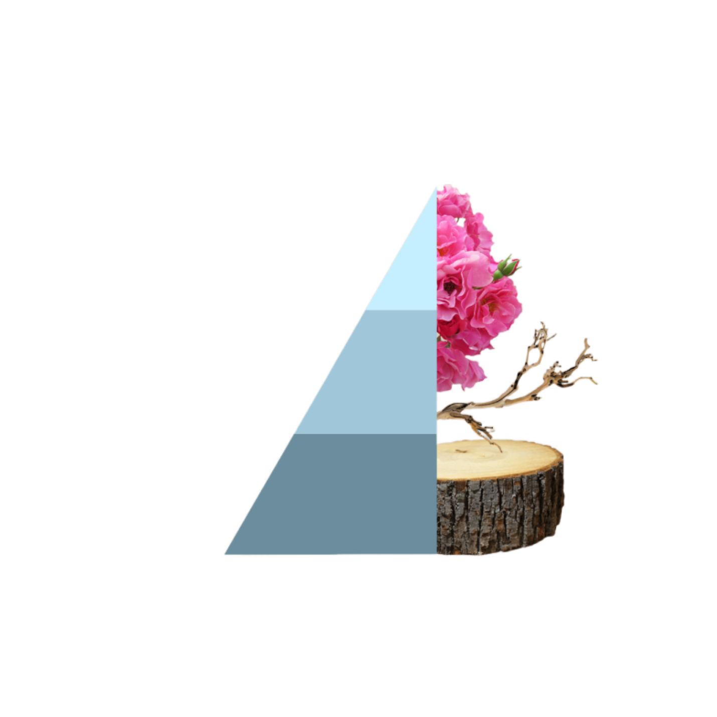 Geurzakjes Fresh Cotton; Afbeelding: 2