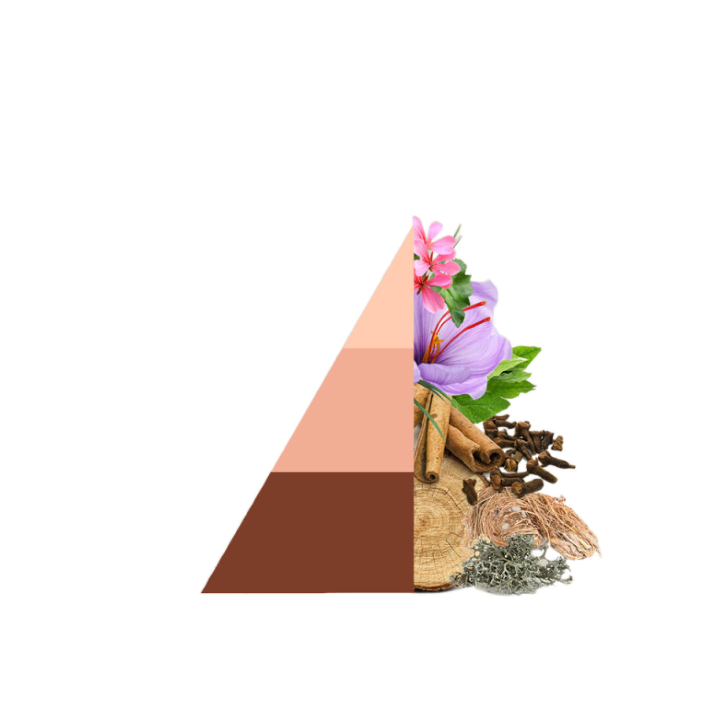 Horolux Ego (300 ml); Afbeelding: 3