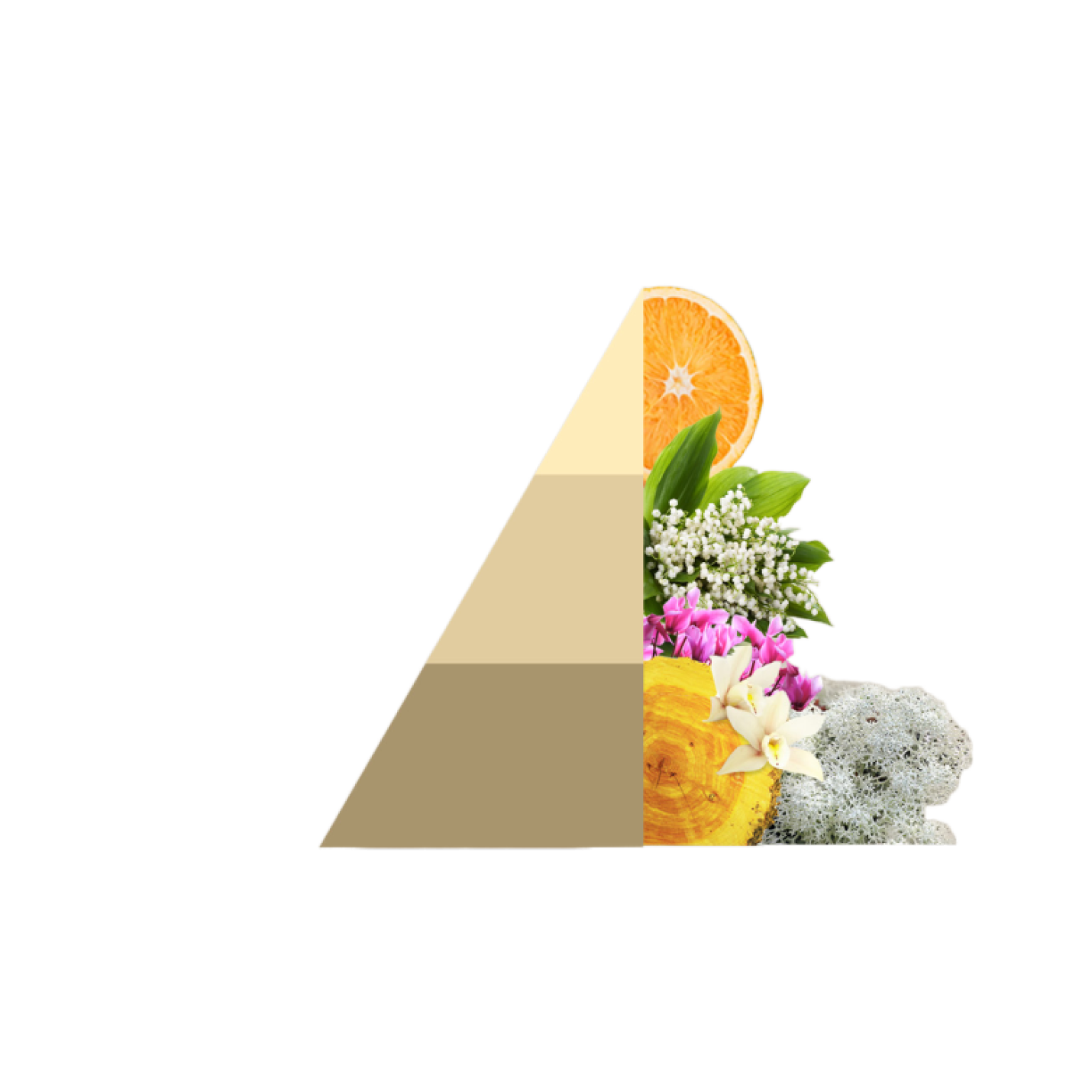 Textielspray Gold Argan; Afbeelding: 3