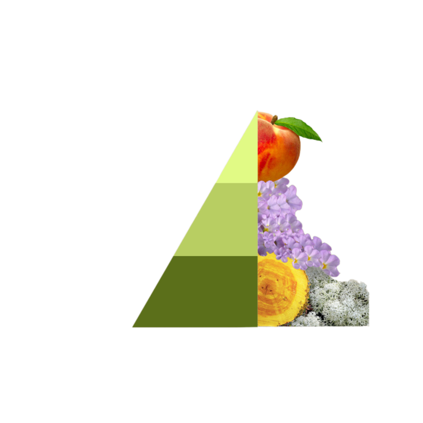 Geurzakjes Musica del sole; Afbeelding: 2