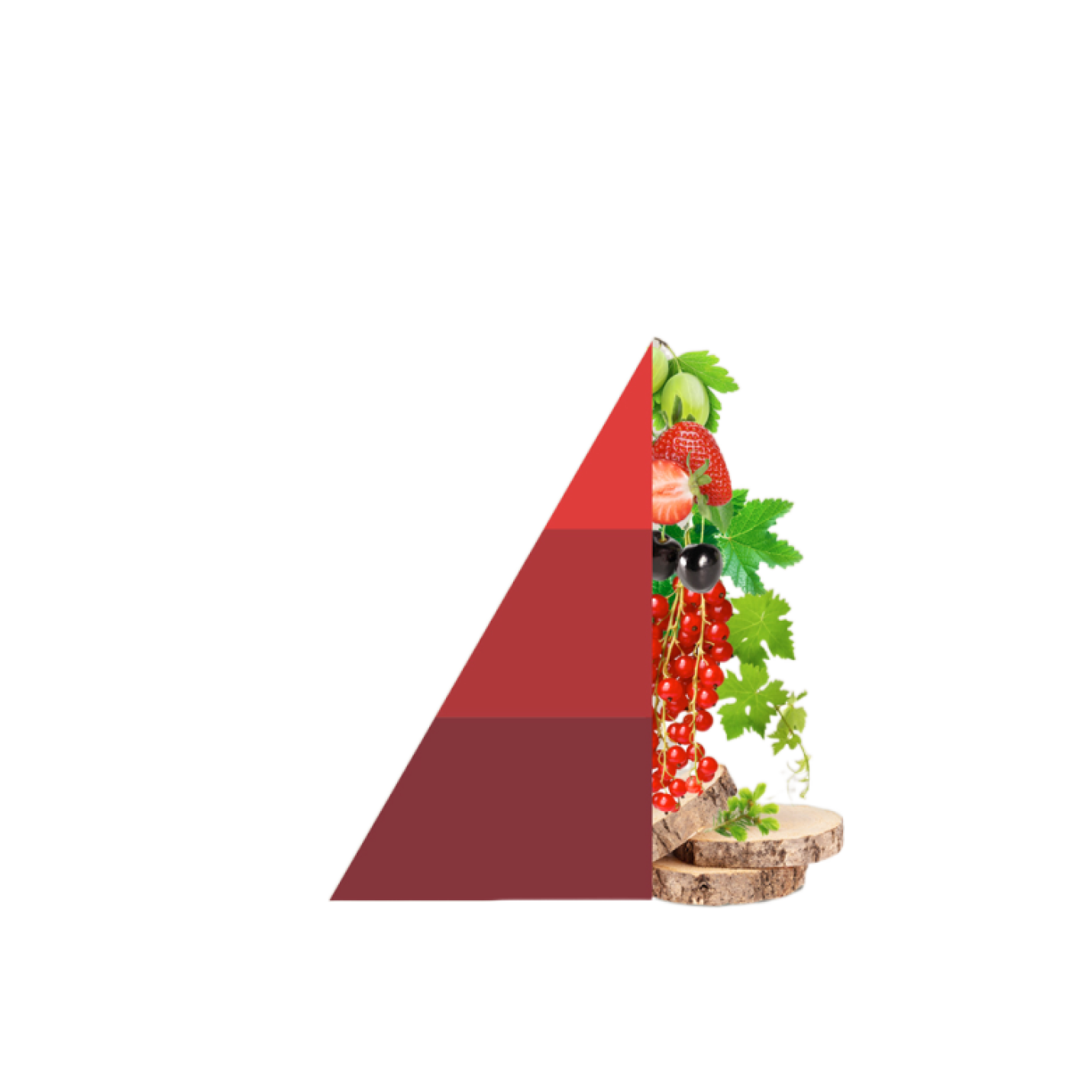 Refill geurstokjes Vigneto Rosso; Afbeelding: 2